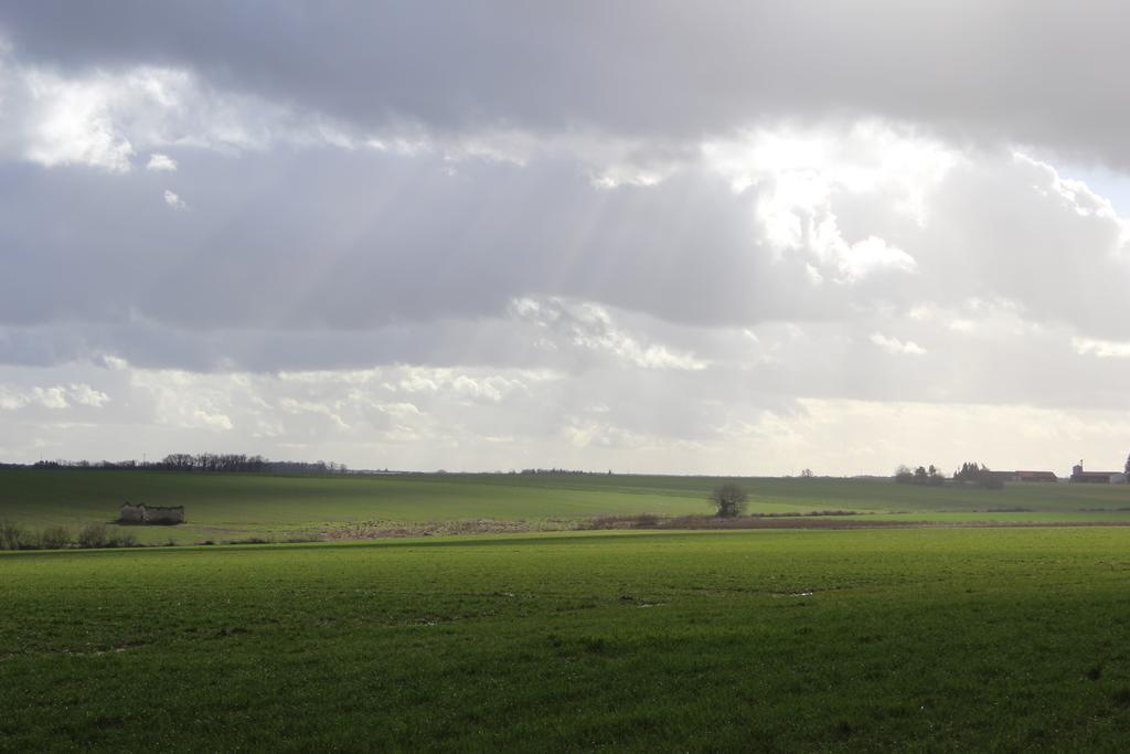 Gites A L'Ombre Des Chenes Châteauvieux Eksteriør bilde